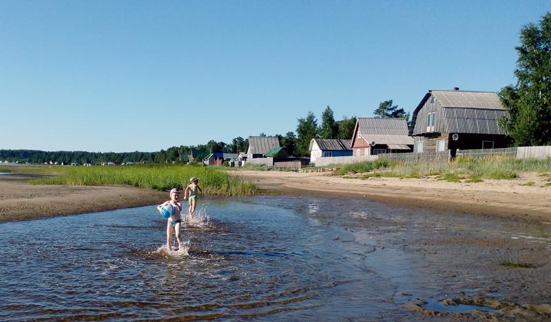 Чудеса Белого моря. Летний вариант